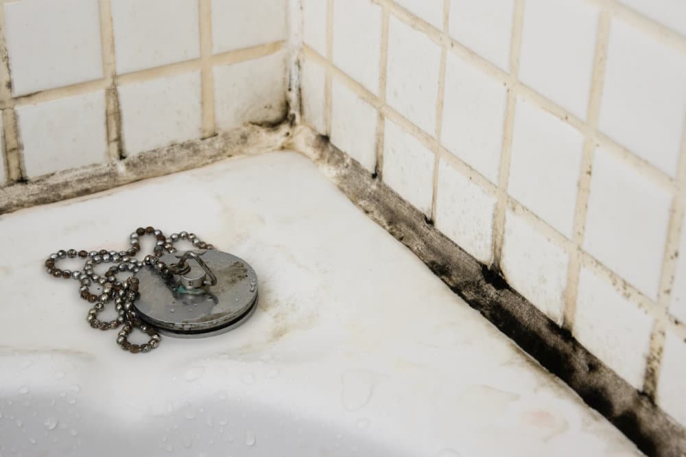 mold forming in bathroom shower