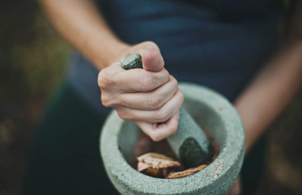 crushing cyrptolepis with pestle and mortar 