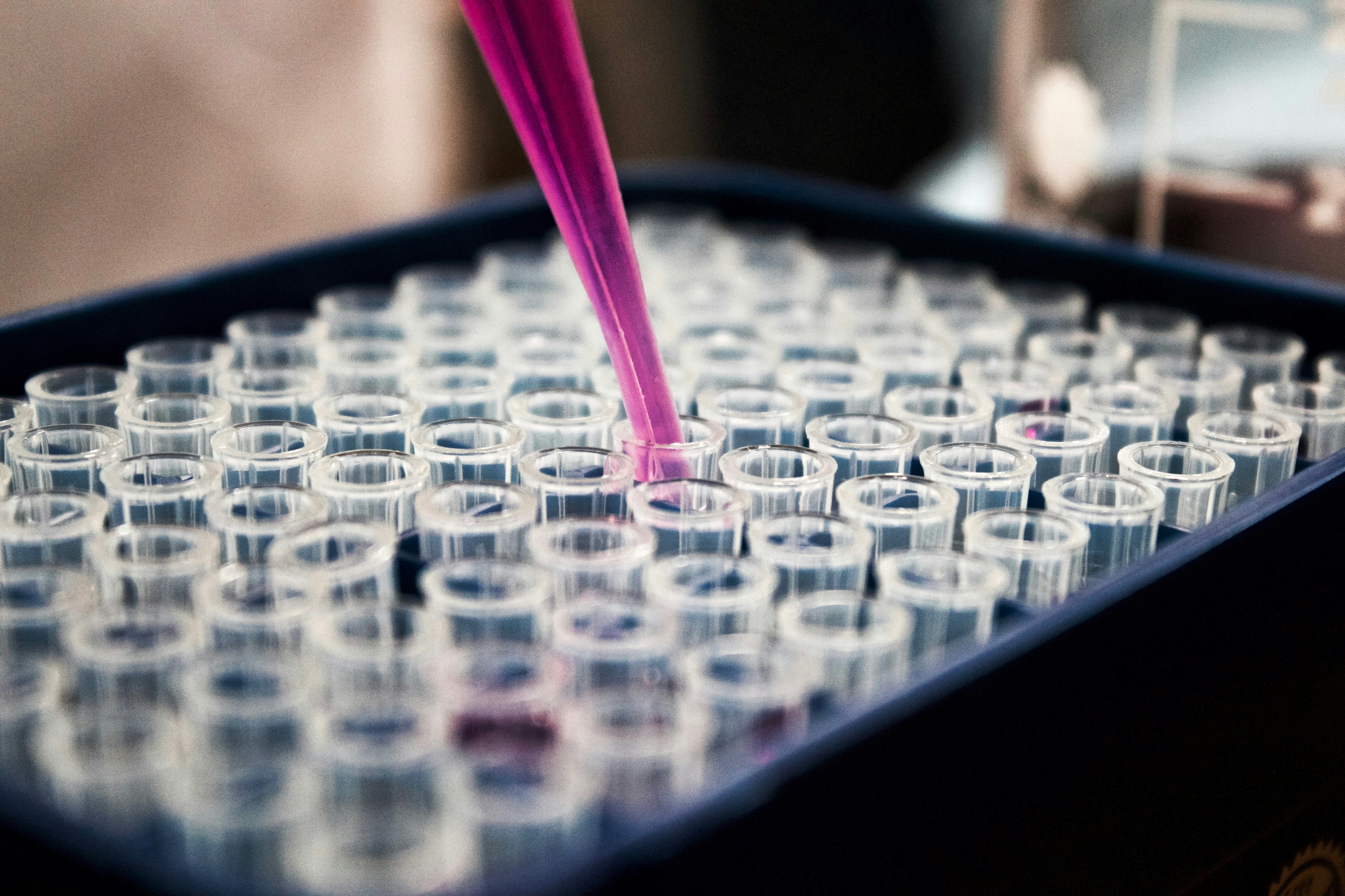lab testing for lyme disease