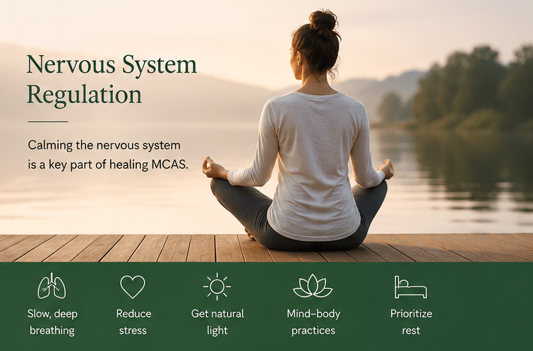 Nervous System Regulation